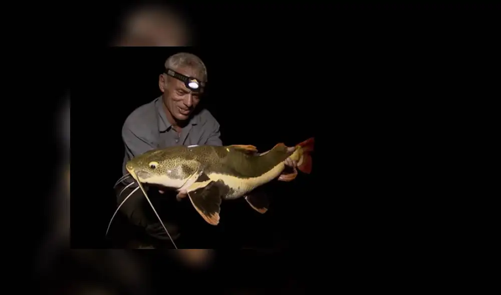 Desliza hacia la izquierda para ver al extraño animal que capturó Jeremy Wade. Foto: Monstruos de río