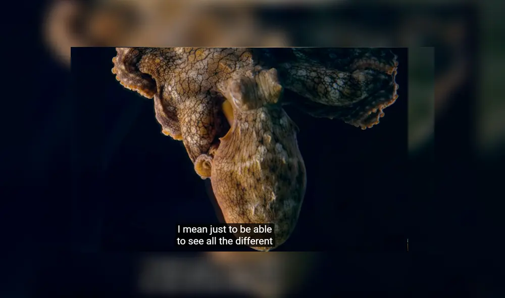 La curiosa y probable razón detrás de esta insólita ha dejado a más de uno con la boca abierta. La curiosa y probable razón detrás de esta insólita ha dejado a más de uno con la boca abierta.