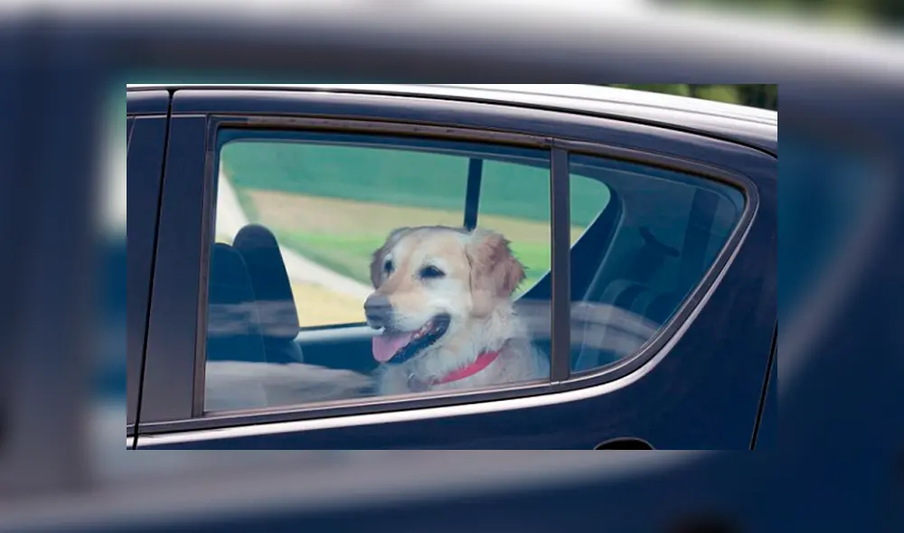 Facebook: destruyen ventana de un auto para rescatar a perro pero huyen al conocer la verdad Facebook: destruyen ventana de un auto para rescatar a perro pero huyen al conocer la verdad