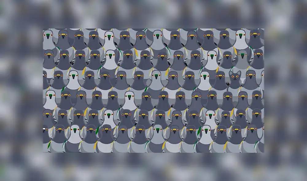 ¿Podrás hallar el gato en tan solo 18 segundos? Foto: captura ¿Podrás hallar el gato en tan solo 18 segundos? Foto: captura