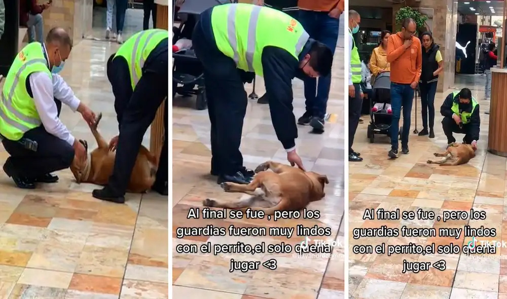 Tras ser notificados sobre la presencia del animal, los agentes fueron a buscarlo por los diferentes espacios del centro comercial. Foto: composición LR/TikTok/@itzyandreaneira Tras ser notificados sobre la presencia del animal, los agentes fueron a buscarlo por los diferentes espacios del centro comercial. Foto: composición LR/TikTok/@itzyandreaneira