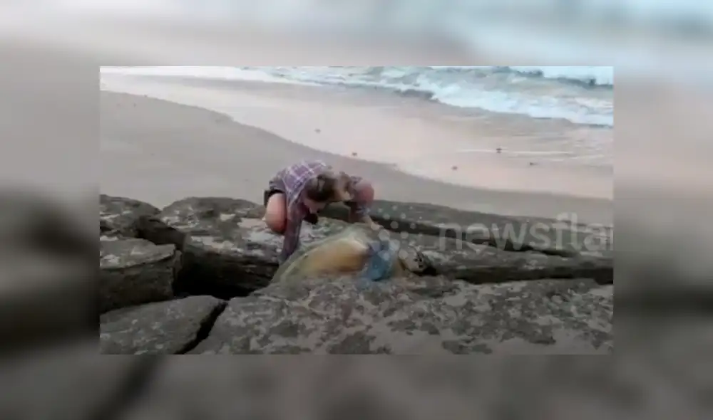 Jóvenes encuentran misteriosa criatura atrapada entre las rocas.