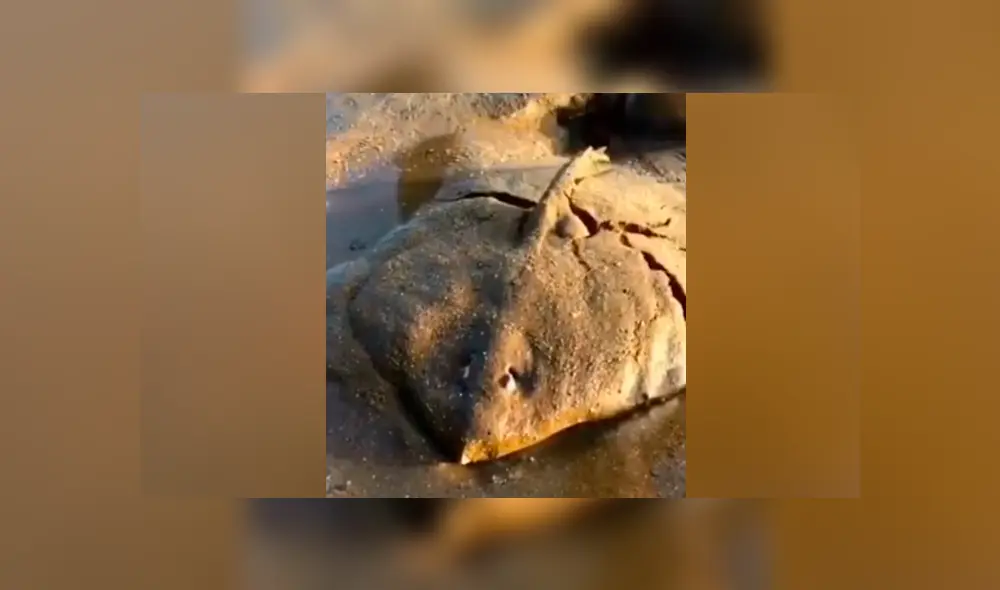 Facebook viral: se topa con misterioso lodo que ‘respira’, se asoma y descubre lo más insólito Facebook viral: se topa con misterioso lodo que ‘respira’, se asoma y descubre lo más insólito