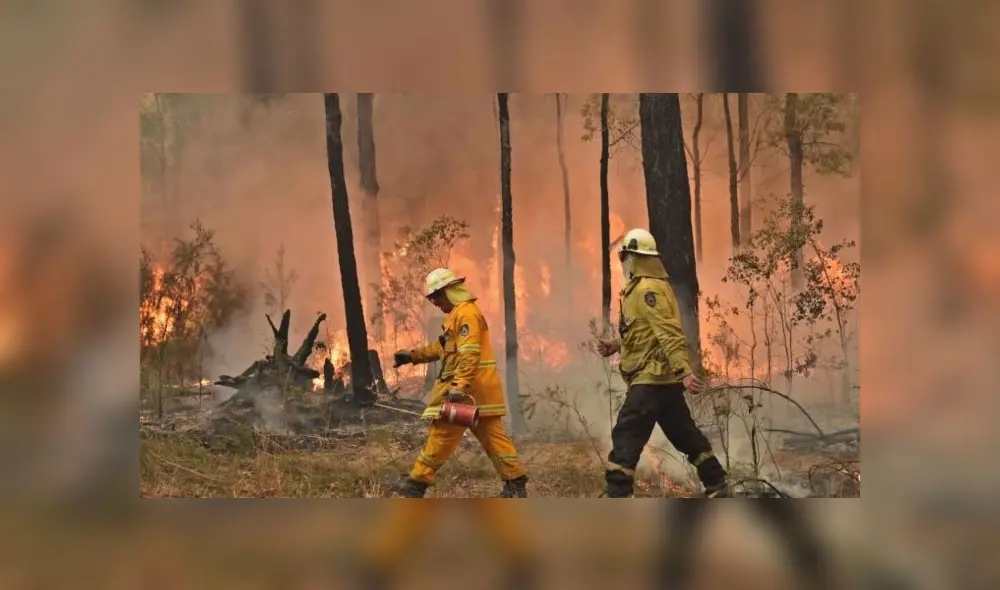 Incendio forestal en Australia: 3000 reservistas se movilizan para combatir desastre