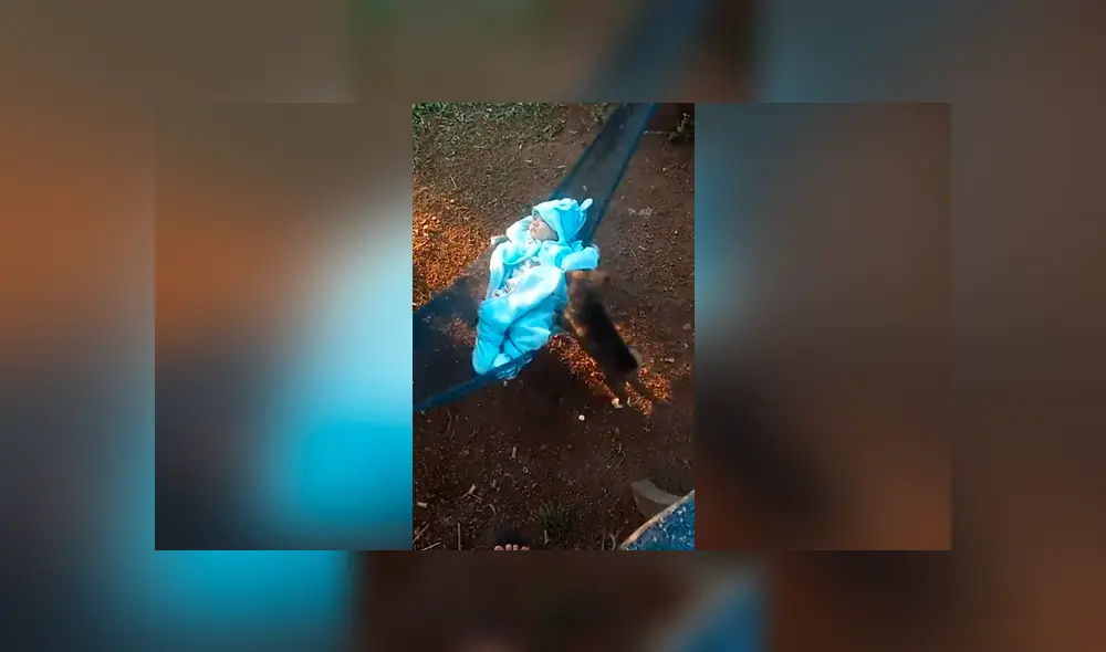 Facebook viral: madre graba el momento exacto en que perro bebé juega con su hijo y genera ternura Facebook viral: madre graba el momento exacto en que perro bebé juega con su hijo y genera ternura