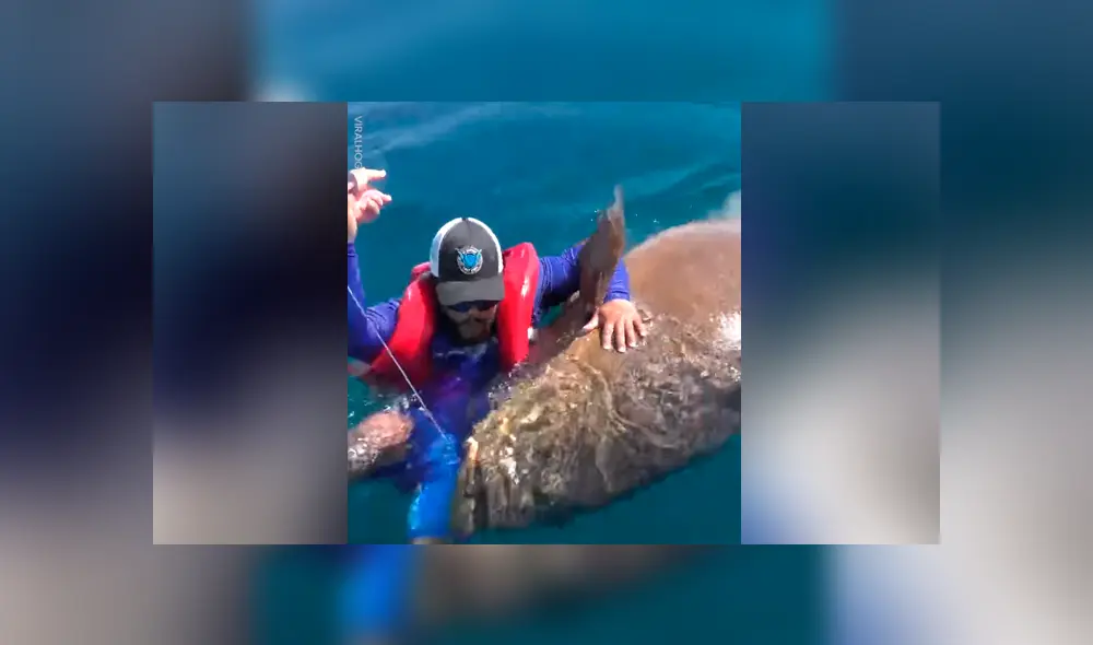 Desliza para ver los momentos más impactantes del aterrador video que se hizo viral en Facebook.