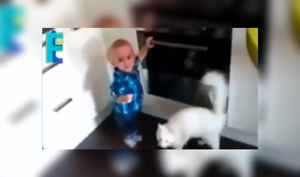 Facebook viral: preciso momento en que gato salva de morir a niño travieso que jugaba en cocina [VIDEO]