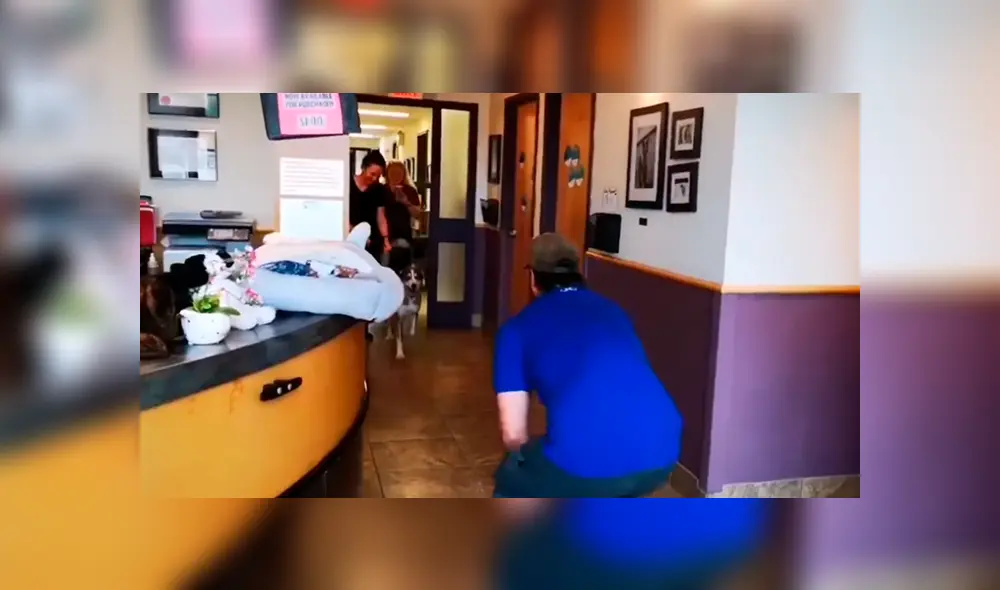 En Facebook, un joven realizó una intensa búsqueda para dar con el paradero de su perro y años después lo encontró en un albergue. En Facebook, un joven realizó una intensa búsqueda para dar con el paradero de su perro y años después lo encontró en un albergue.