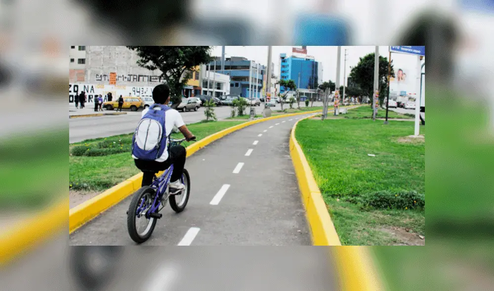 Los casos fueron denunciados mediante la aplicación Vipa. Foto: Difusión. Los casos fueron denunciados mediante la aplicación Vipa. Foto: Difusión.
