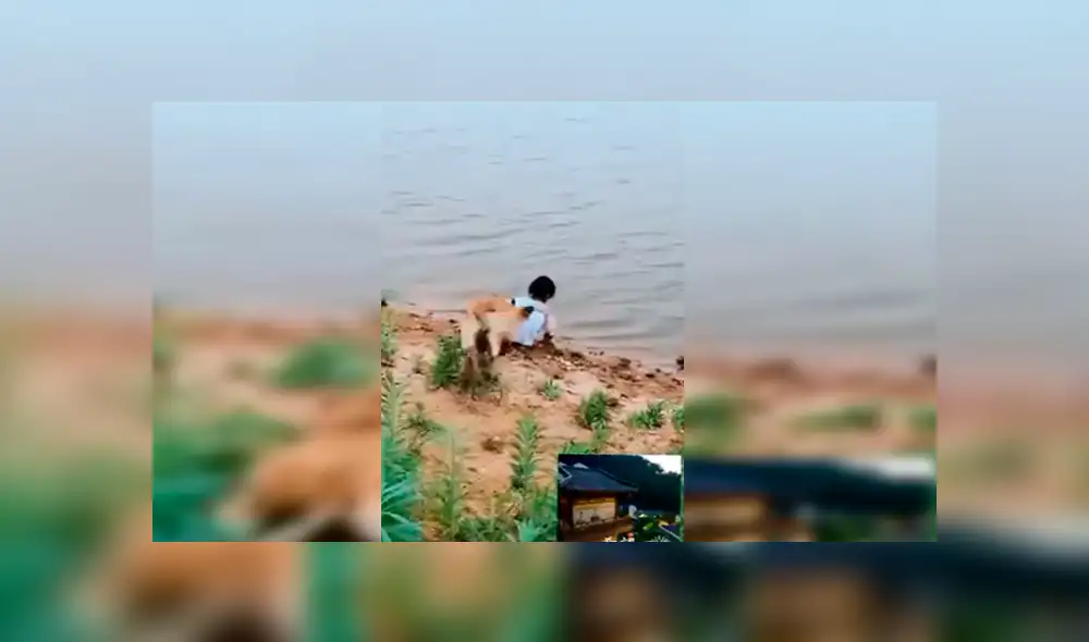 Facebook viral: niña se aproxima a peligroso río para sacar pelota y su perro llega a su rescate [VIDEO] 