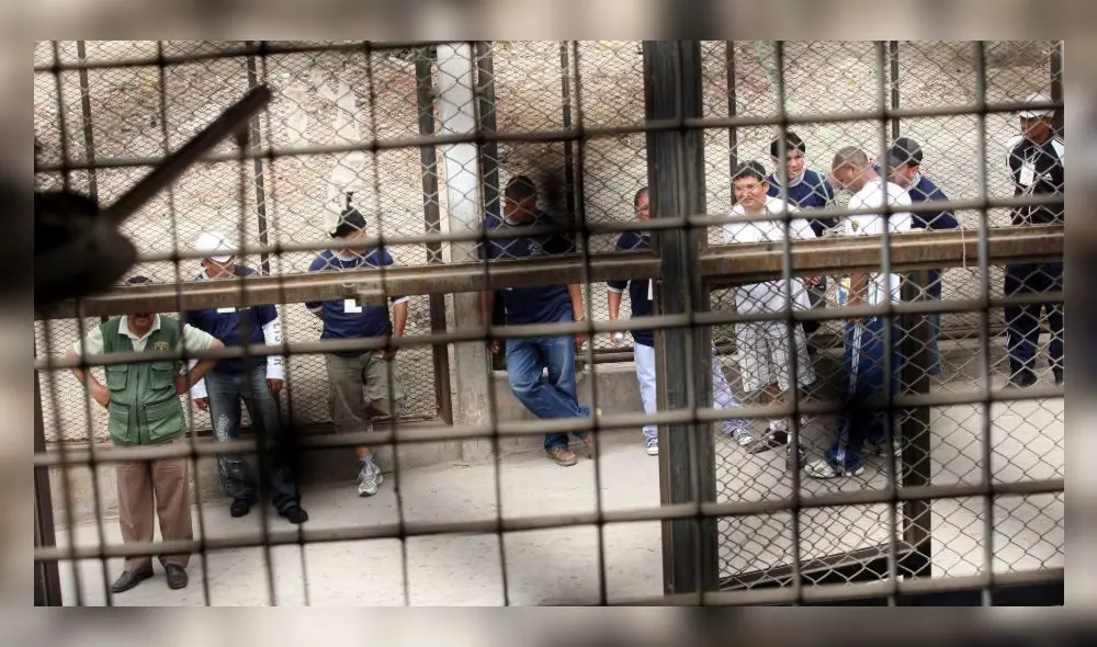 Créditos: Andina. Créditos: Andina.