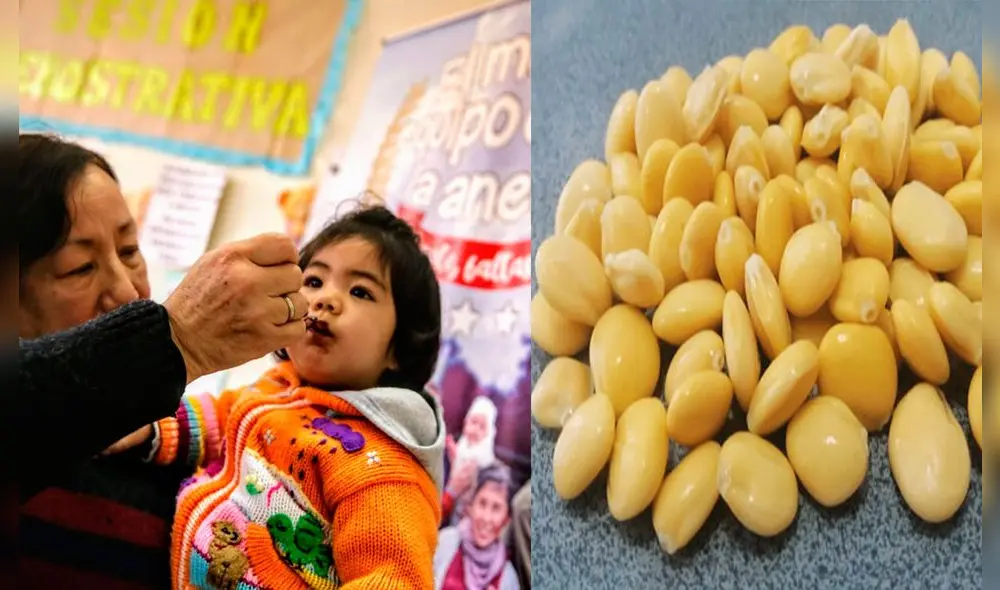 Galletas de Chocho buscan reducir los índices de anemia en el país. Foto: Composición