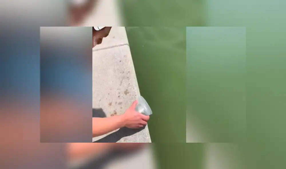 Desliza para ver los momentos más impactantes del video que se hizo viral en Facebook.