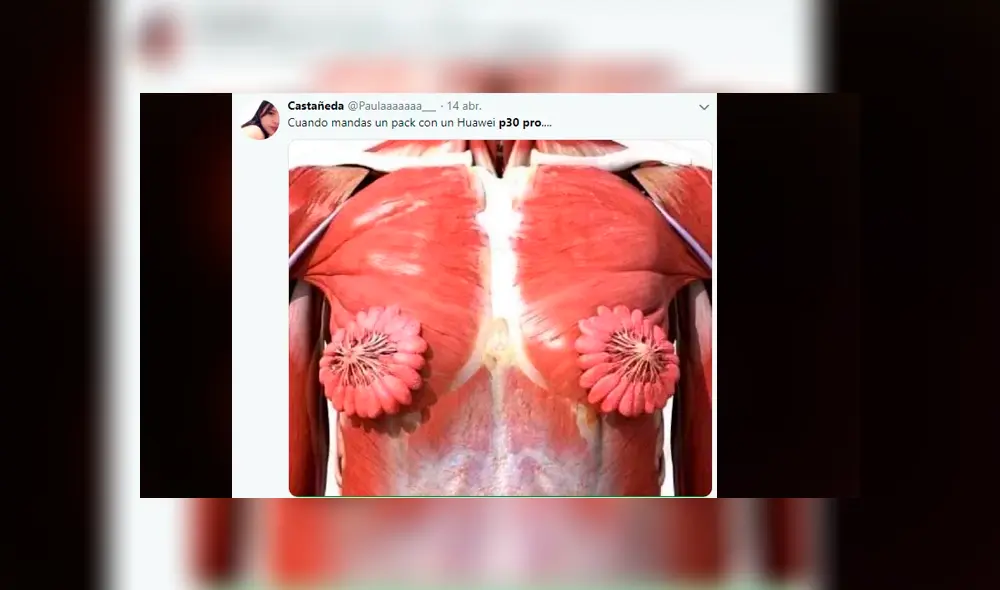 Facebook viral: Huawei P30 Pro y su potente zoom generan memes y estos son los mejores [FOTOS]