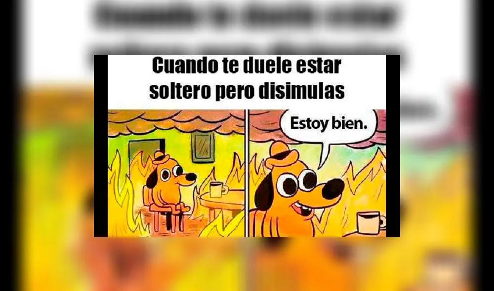 Usuarios de Facebook celebran San Valentín con divertidos memes | IMÁGENES