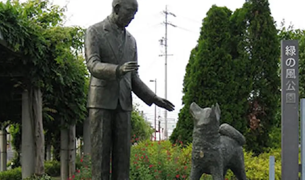 Hachiko estuvo esperando durante nueve años a su dueño Hidesaburō Ueno en la estación de Shibuya. Foto: Captura/YouTube/Experto Animal