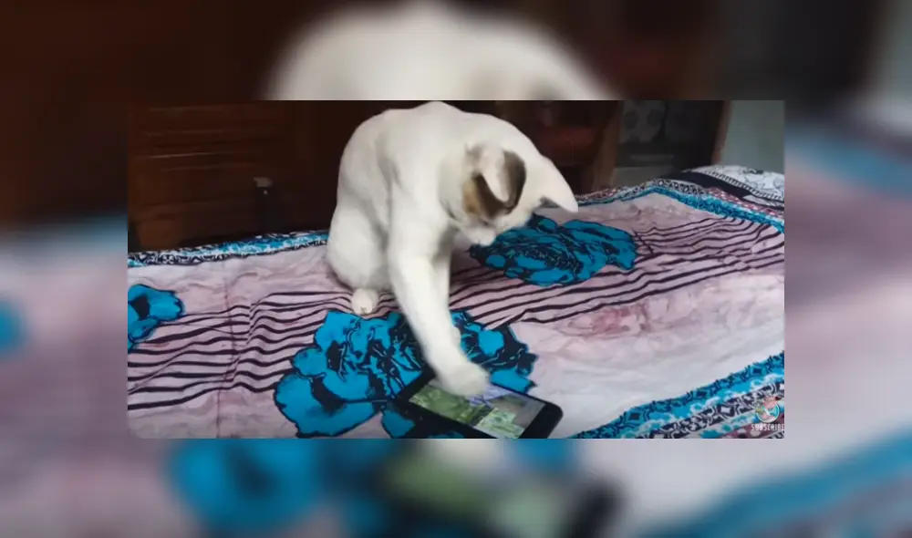 Desliza hacia la izquierda para ver más del video viral Desliza hacia la izquierda para ver más del video viral