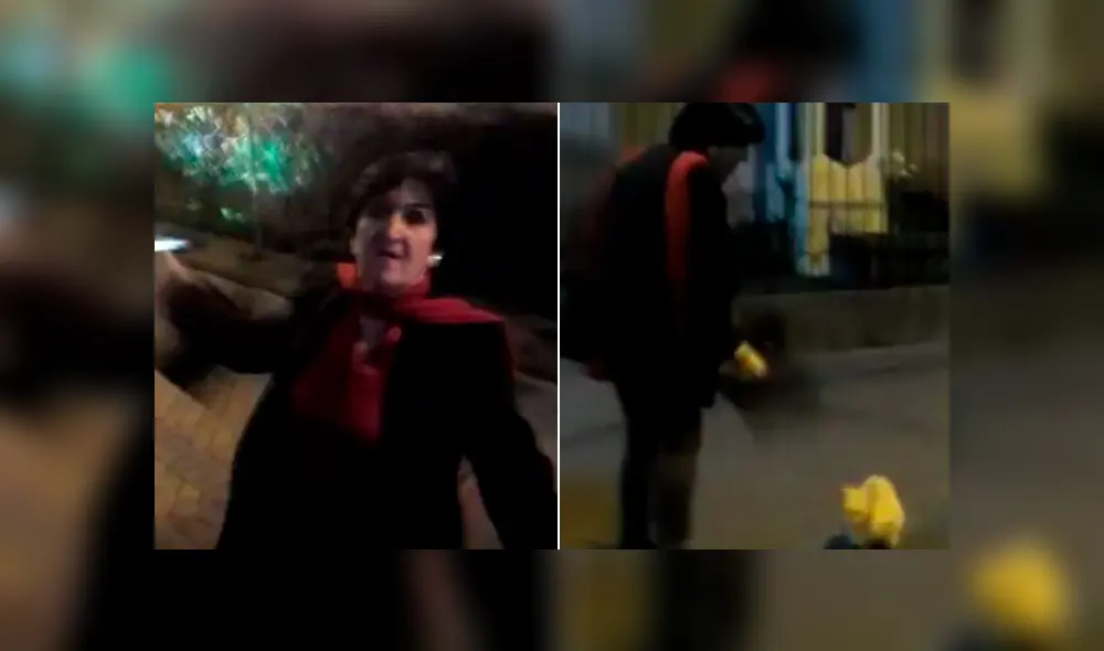 Acusan a mujer de agredir a gatos y activistas en parque Kennedy. Foto: Captura de Instagram Acusan a mujer de agredir a gatos y activistas en parque Kennedy. Foto: Captura de Instagram