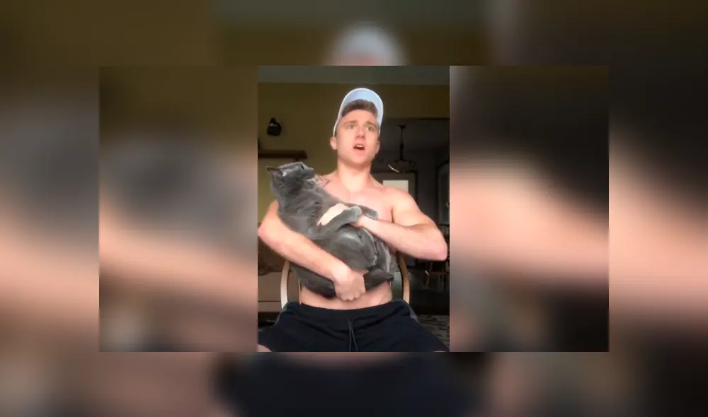 Desliza las imágenes hacia la izquierda para conocer la reacción de un travieso gato al escuchar el canto de su dueño.