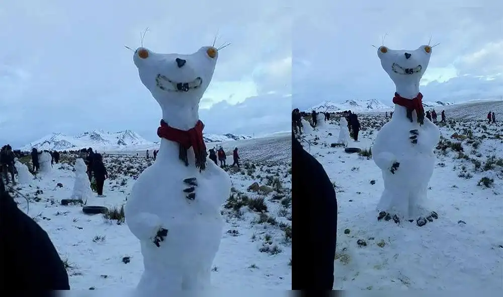 Facebook: pasajeros varados aprovechan la nieve para crear muñecos y comparten fotos en las redes