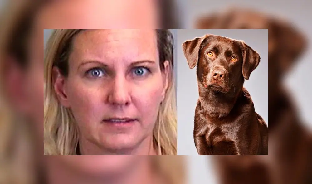 Uno de los trabajadores, que se encontraba en la casa de la mujer, intentó rescatar al perro. Uno de los trabajadores, que se encontraba en la casa de la mujer, intentó rescatar al perro.