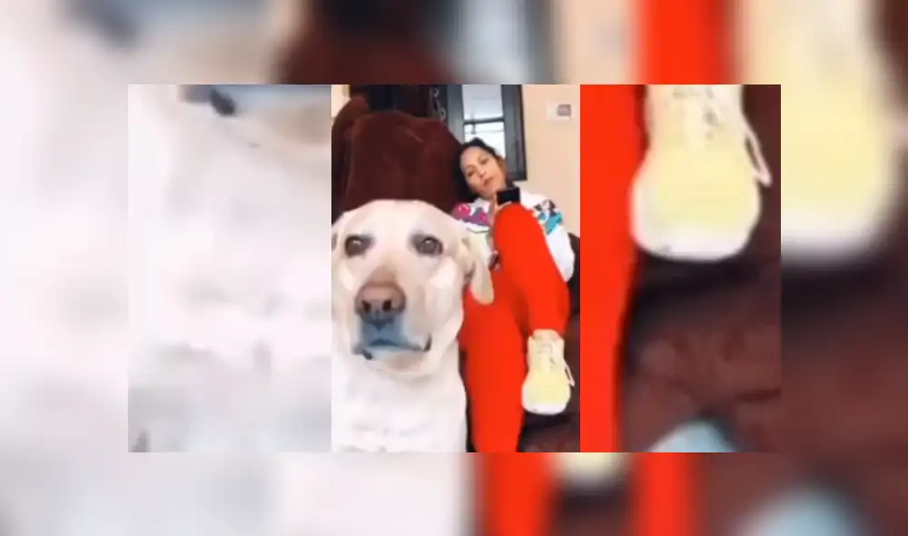 Desliza hacia la izquierda para ver más del video viral Desliza hacia la izquierda para ver más del video viral