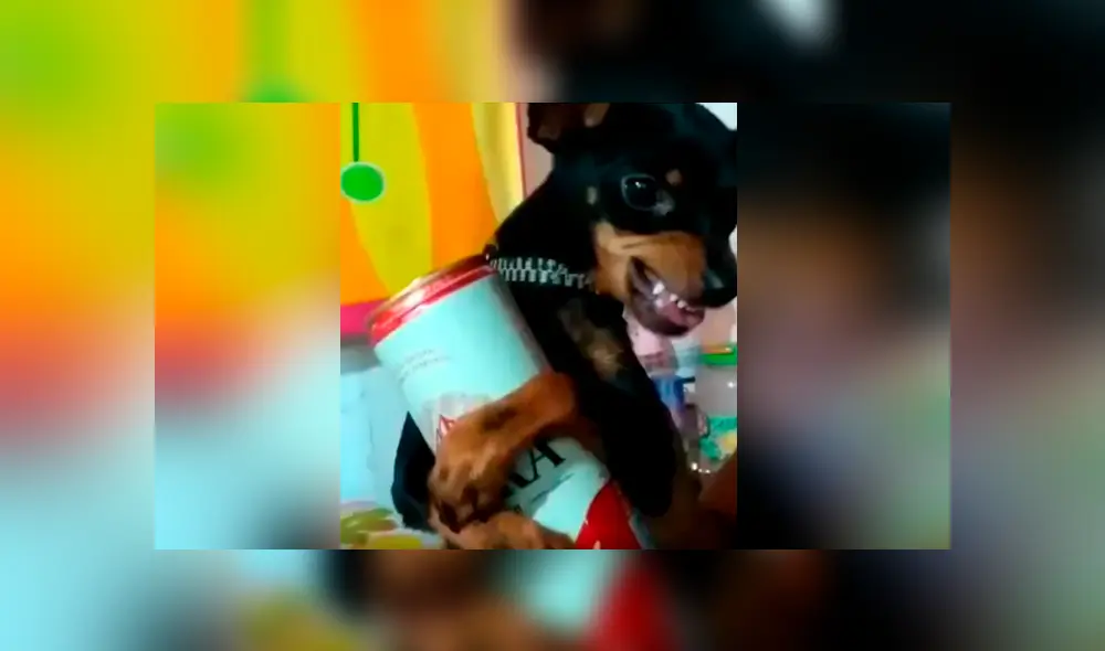 Desliza hacia la izquierda para ver más del video viral