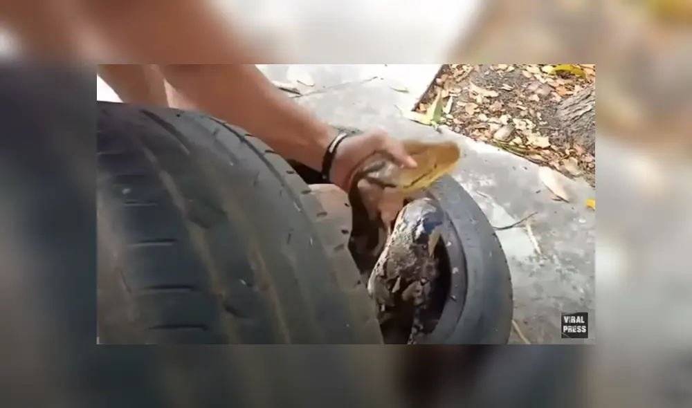 Desliza hacia la izquierda para ver las imágenes del viral de YouTube. Foto: Captura. Desliza hacia la izquierda para ver las imágenes del viral de YouTube. Foto: Captura.