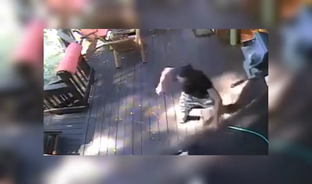 A través de YouTube se hizo viral el tenso momento en que un hambriento coyote ataca a un pequeño perro.