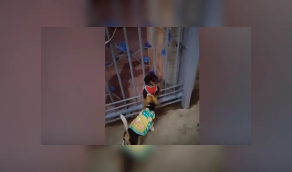 Desliza hacia la izquierda para ver el conmovedor reencuentro publicado en Facebook.