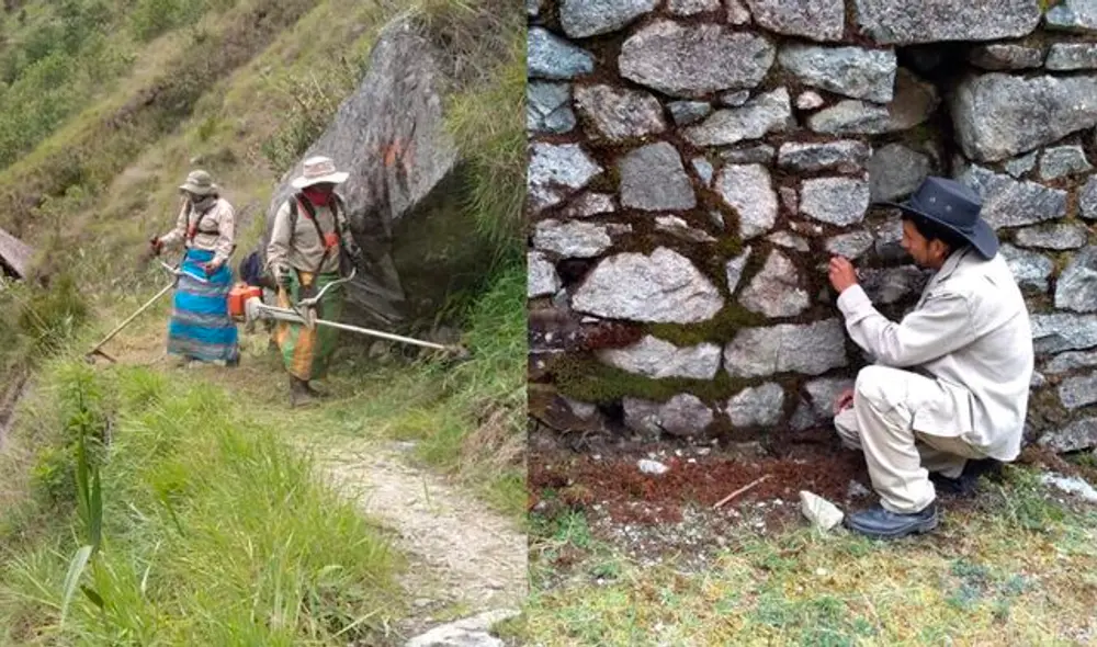 Red Caminos Red Caminos