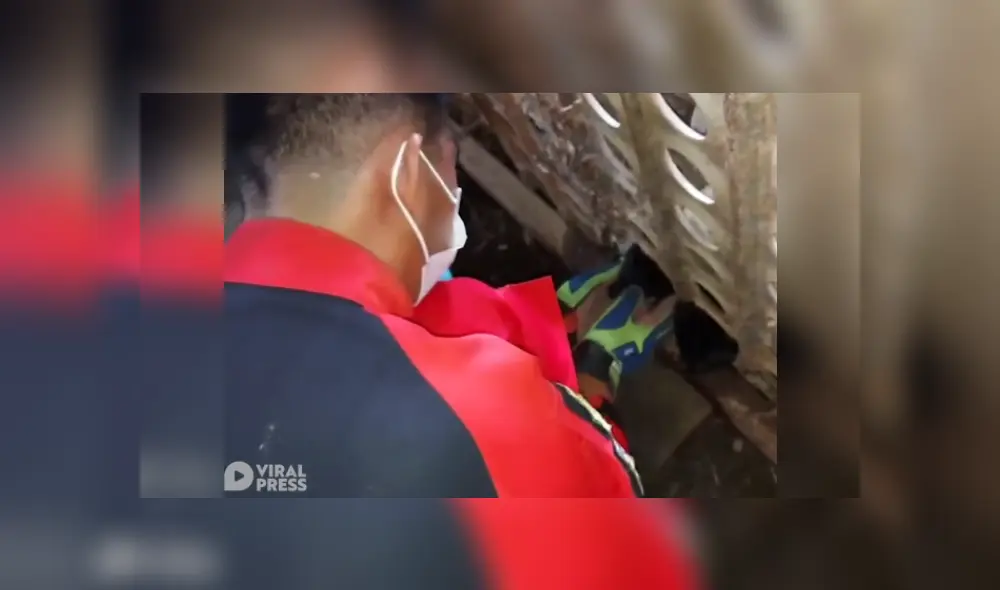 Desliza las imágenes para ver más de este rescate a dos perritos callejeros. (Foto: captura / YouTube)