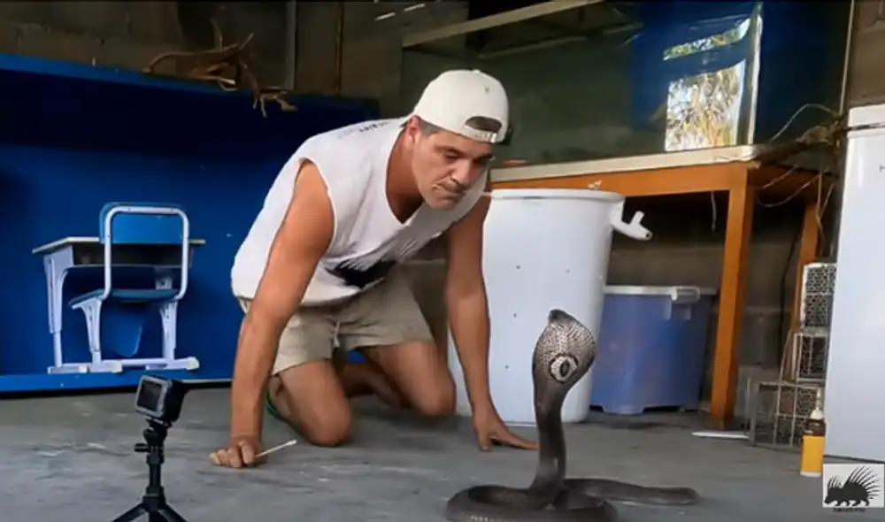 Desliza hacia la izquierda para ver las imágenes del video viral. Foto: captura de YouTube. Desliza hacia la izquierda para ver las imágenes del video viral. Foto: captura de YouTube.