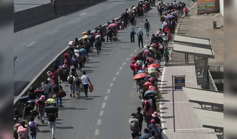 Centenares de personas caminan de retorno a Áncash. Foto: Aldair Mejía/La República Centenares de personas caminan de retorno a Áncash. Foto: Aldair Mejía/La República