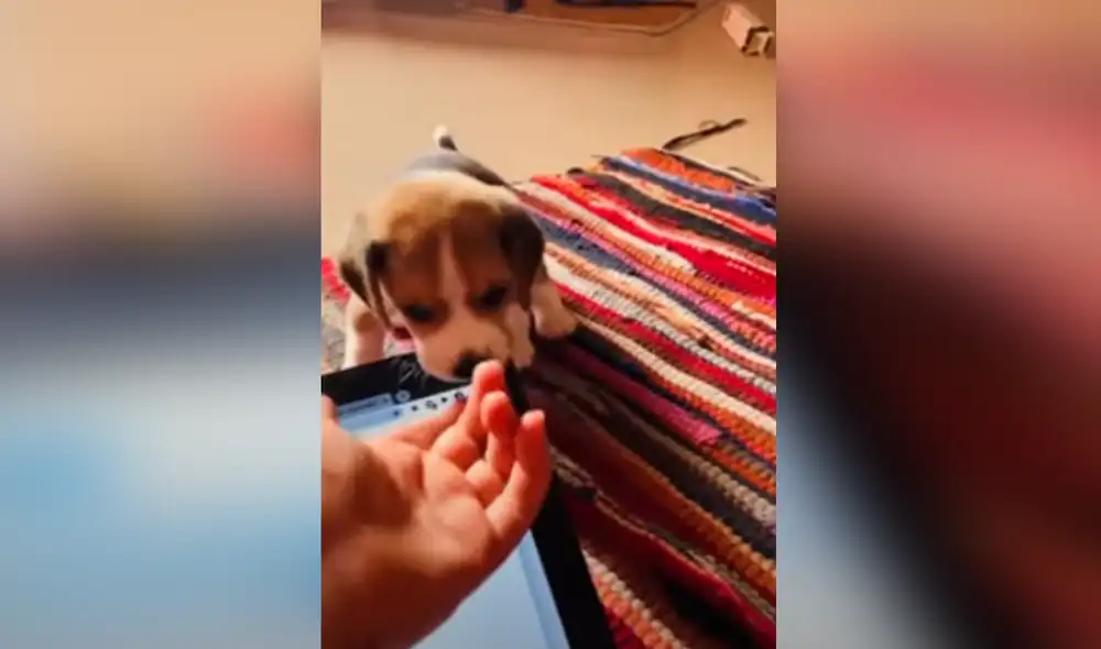 Desliza hacia la izquierda para ver las imágenes del video viral. Foto: Captura de YouTube. Desliza hacia la izquierda para ver las imágenes del video viral. Foto: Captura de YouTube.