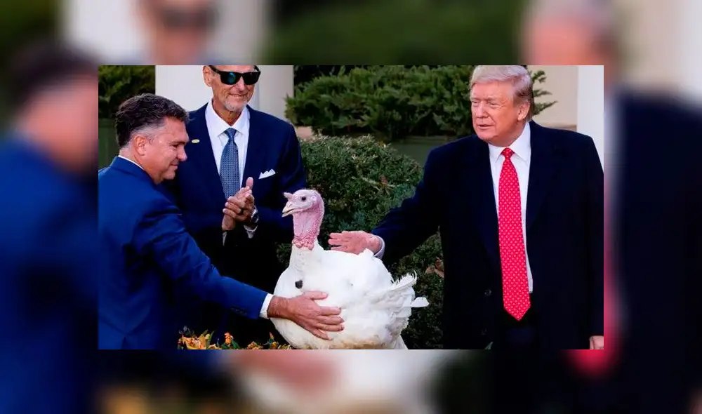 Presidente de Estados Unidos, Donald Trump. Foto: AFP. Presidente de Estados Unidos, Donald Trump. Foto: AFP.