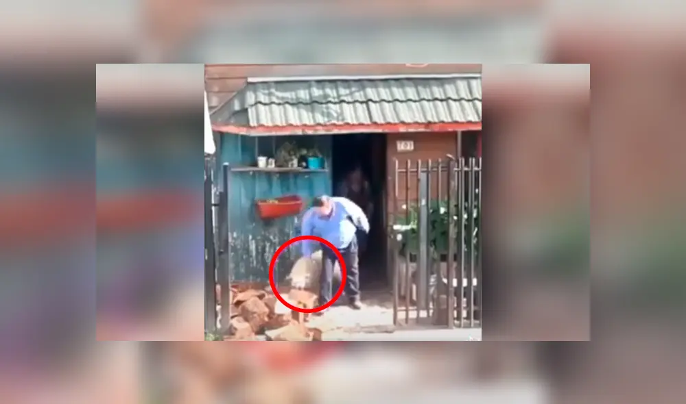 Desliza las imágenes hacia la izquierda para apreciar la emotiva acción de un perro para ayudar a su dueño. Fotocaptura: Facebook. Desliza las imágenes hacia la izquierda para apreciar la emotiva acción de un perro para ayudar a su dueño. Fotocaptura: Facebook.