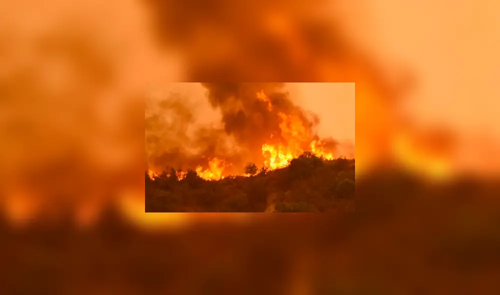 Se registraron incendios forestales en California. Foto: EPA Se registraron incendios forestales en California. Foto: EPA