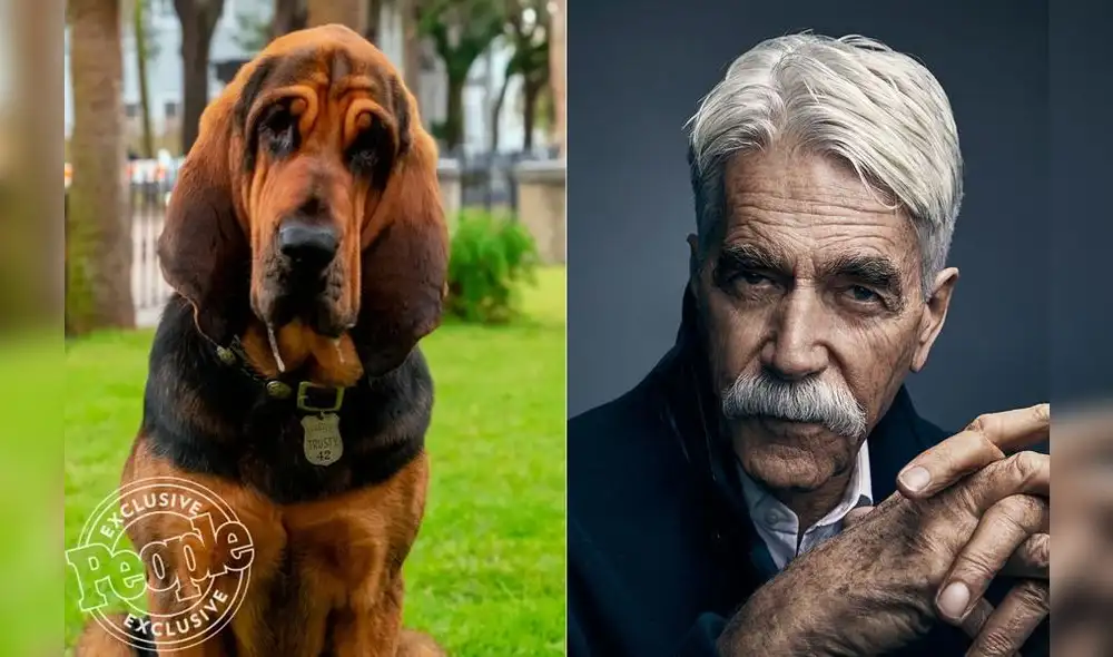 La Dama y el Vagabundo: liberan primeras imágenes del live action [FOTOS]