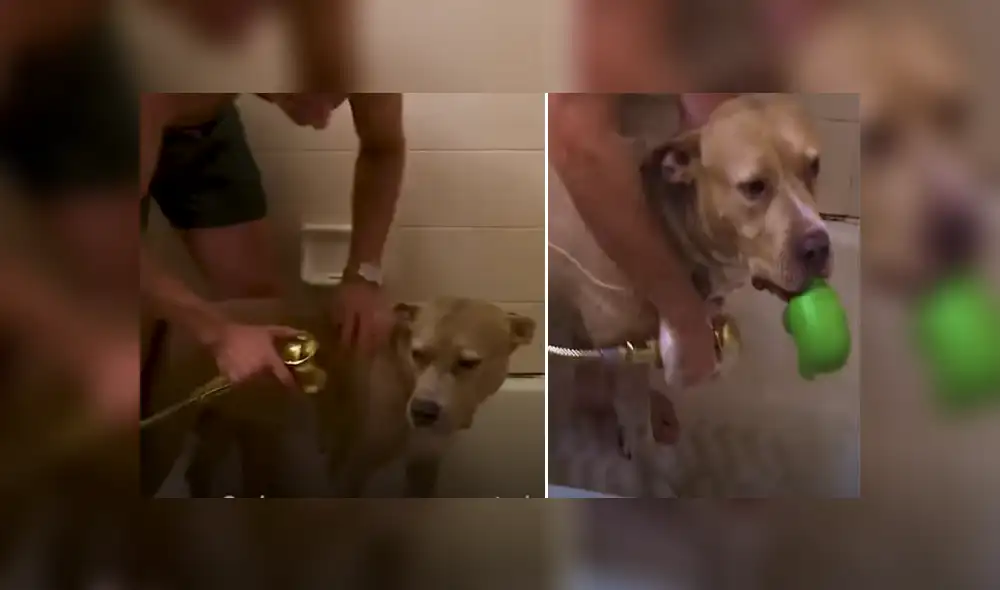 Desliza hacia la izquierda para ver las imágenes del viral de Facebook. Desliza hacia la izquierda para ver las imágenes del viral de Facebook.