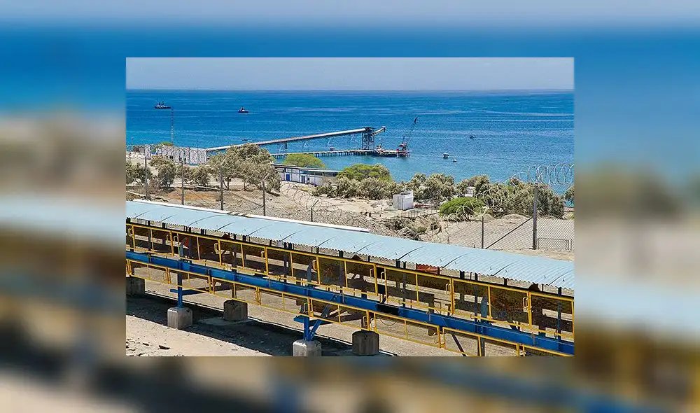 Especies marinas disminuyeron en 40% ante aparente contaminación