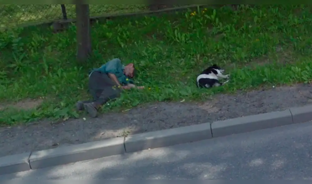 Google Maps: ebrio se queda dormido y su perro fiel tiene increíble reacción [FOTOS]