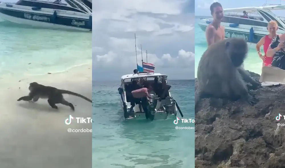 Este hecho sucedió en República Dominicana. Foto: composición LR / TikTok / @cordobeces