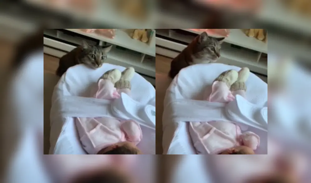 Desliza las imágenes para ver la adorable escena entre la bebé y el gato de su mamá. Desliza las imágenes para ver la adorable escena entre la bebé y el gato de su mamá.