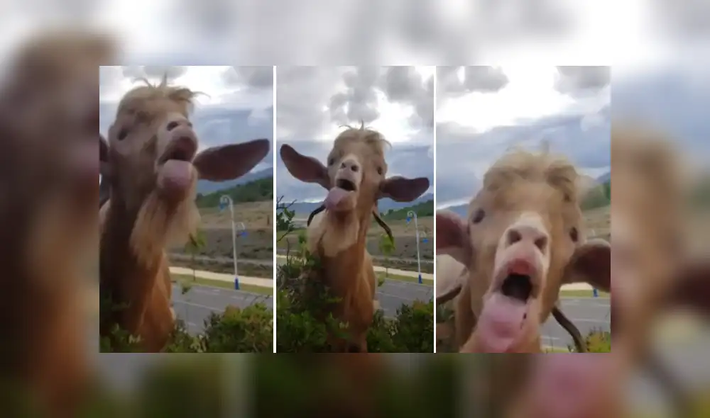 Desliza las imágenes para ver más detalles de esta escena que es viral en YouTube. Desliza las imágenes para ver más detalles de esta escena que es viral en YouTube.