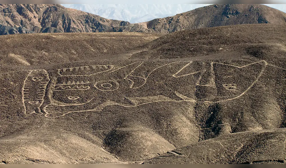 La Orca es el nuevo geoglifo de Palpa y Nasca La Orca es el nuevo geoglifo de Palpa y Nasca
