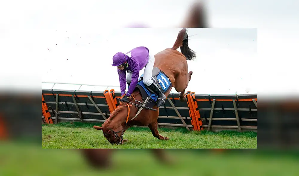 Facebook: caballo de carreras aplasta a jinete en el último obstáculo de competencia [FOTOS]