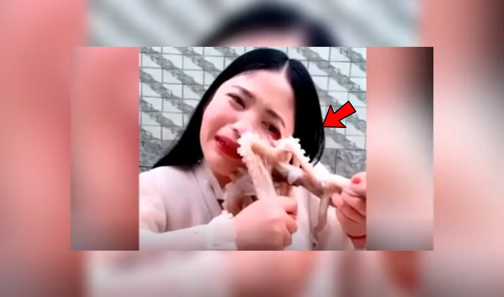 YouTube viral: chica pretendió comer un pulpo vivo y este la ataca de la peor forma [VIDEO]