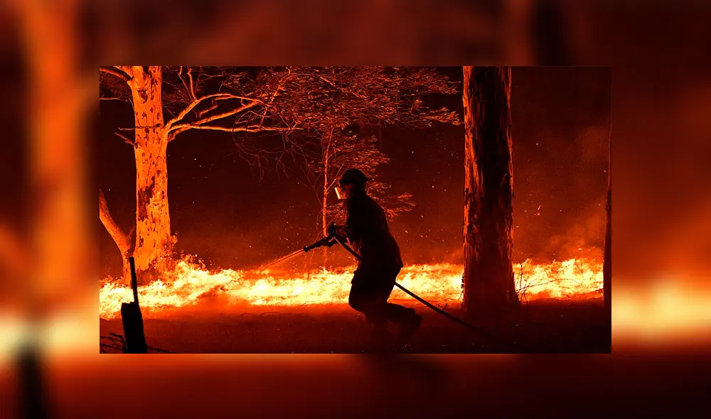 Granjero sacrifica a 20 vacas heridas durante incendio forestal [VIDEO]