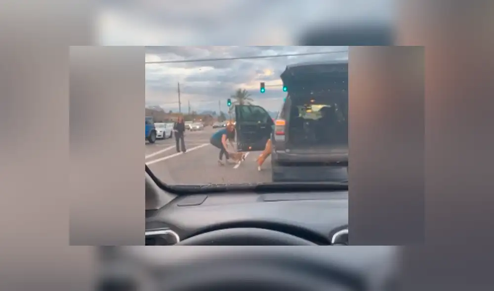 Desliza la imagen para ver todas las fotos de YouTube. Foto: captura